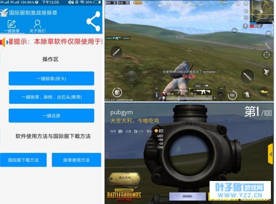 全网首发刺激战场除草国际服辅助