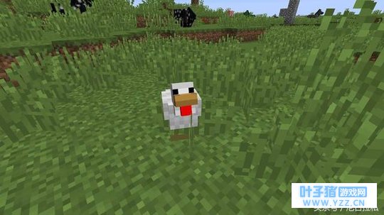 《我的世界》里另类生物,有翅膀却不会飞,