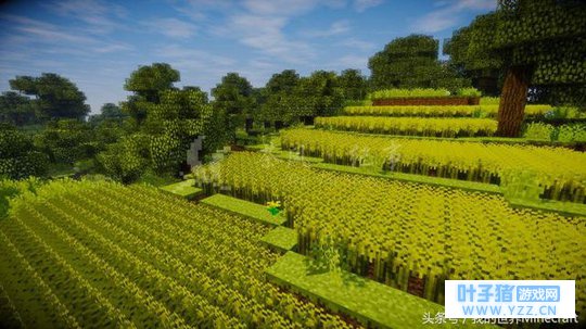 想在《我的世界》里变身苦力怕去炸你的朋友