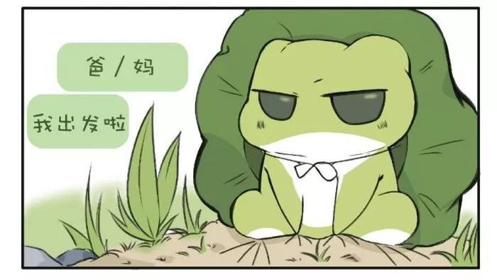 ��/�裬�ҳ�����