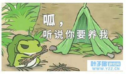 旅行青蛙寻到阿里新爸爸 带你浪遍长滩岛