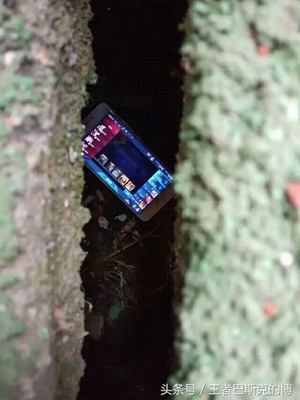 王者荣耀:看了这些奇葩玩家的操作,真是让