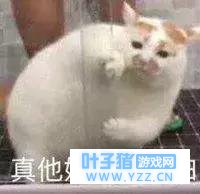 绝地求生刺激战场:超强闪避挂,十几发子弹