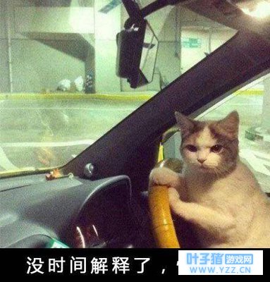 QQ�ɳ����Σ���ǿ�����Ƽ� ��3��B����A����