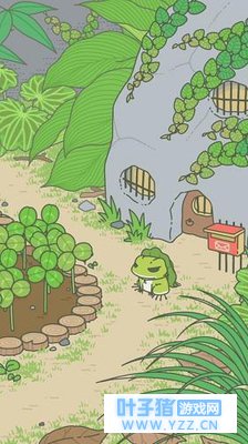 现实世界,青蛙旅行中小青蛙的“蛙居”,原