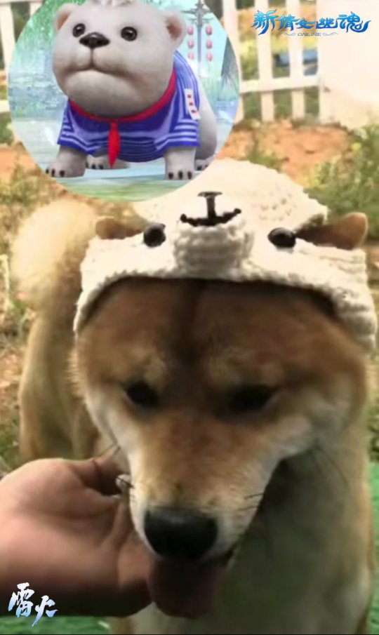 �����һ����ɱ �����ȳ豱����