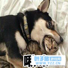 《荒野行动》:攻楼大法好,想做房区里的LY