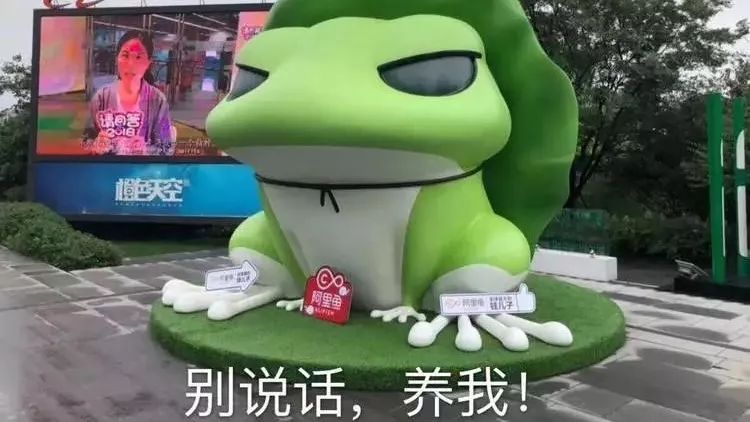 ����������Ϸ