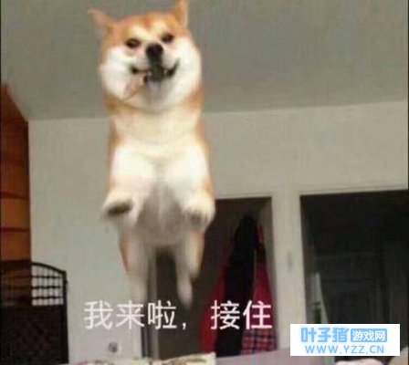 ����������ң����µ��ȷ桷��·��Ϯ()