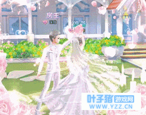 ������ĵ�ȯ����QQ���衷����ʮ����