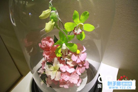 �߽��ɿ������ǹ���