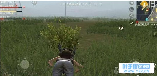 ��Ұ�ж� ��ͬ������Ҷ�������Щ��ͷ����