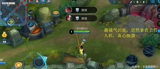 王者荣耀:很多英雄都被玩家玩坏了,吐露心