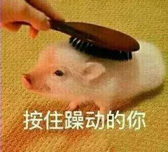 王者荣耀:定位战士的假英雄,伤害血量简直