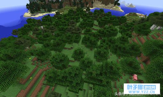 《我的世界》高级专业技能考试只有全答对才