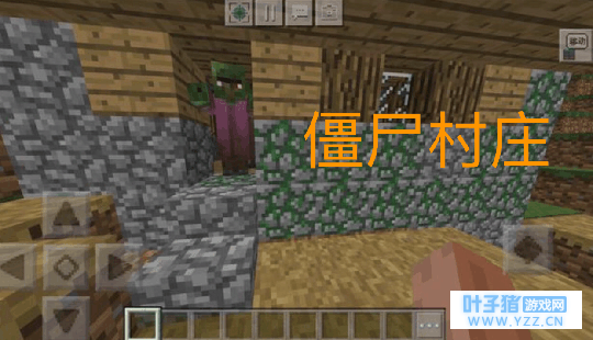 我的世界: 四种极其罕见的村庄, 神秘莫测,