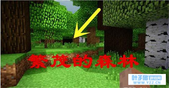 �ҵ����磺��ҷ���ѡַ5����ɣ��������