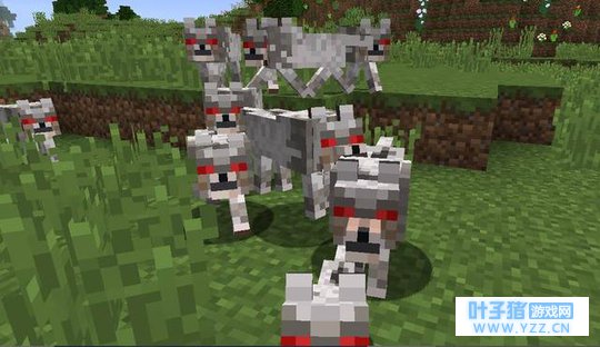 我的世界:会围殴的几种怪物,玩家捡到这几