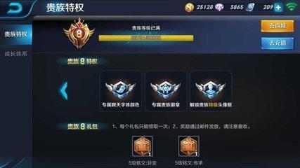 王者荣耀:现在的贵族8妹子都如此嚣张的吗