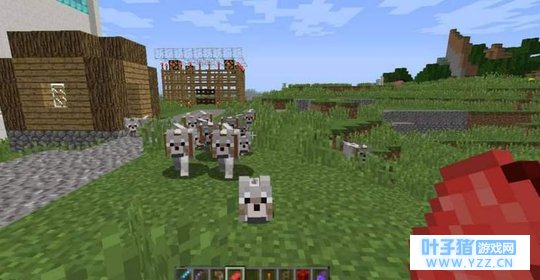 我的世界: 可以被驯服的生物, 凶猛的豹猫居