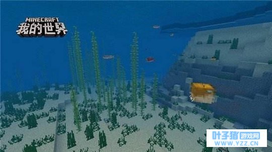 我的世界:如何清除全部海水?这两种方法都