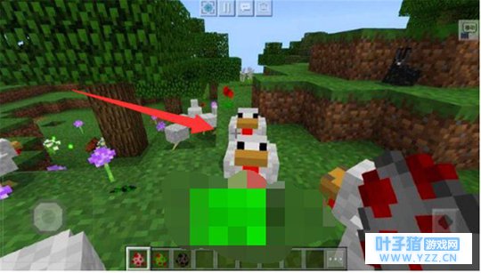 我的世界:MC5种拥有翅膀的生物,见过最后1