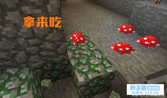 我的世界:蘑菇有什么用?萌新只知道吃,老