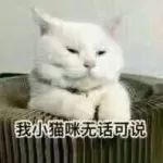 超凶!荒野大陆猫群出没,但是不给吸