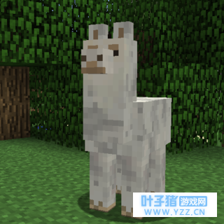 ���ҵ����硿�������100�죨mcʱ�䣩����