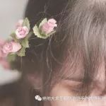 推荐几个一直不舍得取消的公众号,个个经典