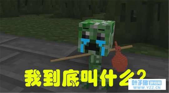 我的世界:在世界中,它竟然有这么多称呼,