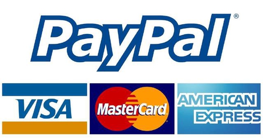 PayPal2018ȫϷ߶챨