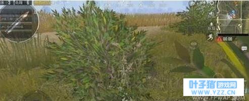 绝地求生刺激战场麦田怎么打 绝地求生刺激