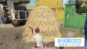 绝地求生刺激战场割草做吉利服是真的吗 大