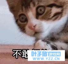 第五人格:从第五幼儿园变成第五动物园,玩