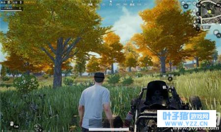 刺激战场有哪些野营点 刺激战场野餐枫树林