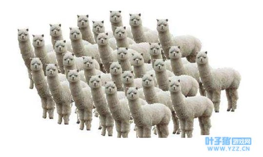 和谐非都偶遇最帅草泥马?《非人学园》新英