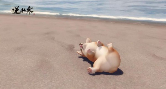 ���컯�չ�Ȼ���� Ϊʲô�������ѷ����Ʋ�?