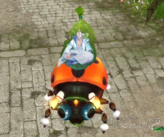 倩女新坐骑九星瓢虫