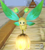 倩女灵兽夏萤萤