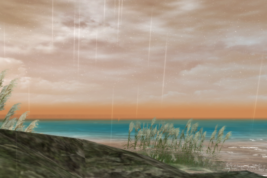 杨家镇风景一览