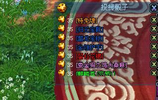 业余打宝直播