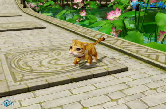 本周关键词【降礼】