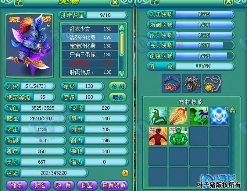 服战玩家宠物展示