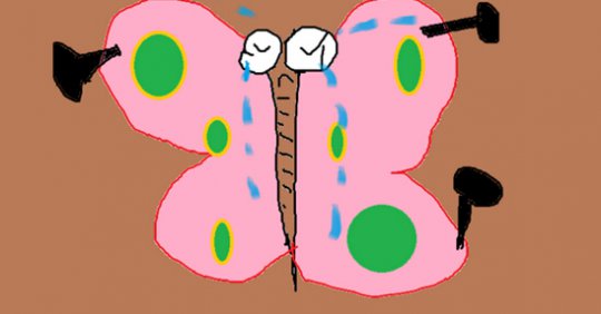 大家一起来猜宠物