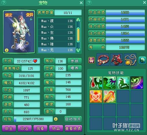 飞升131盘丝展示