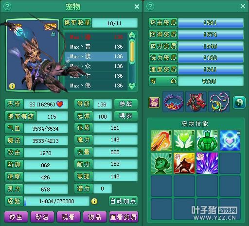 飞升131盘丝展示