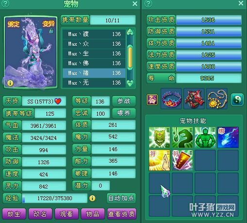 飞升131盘丝展示