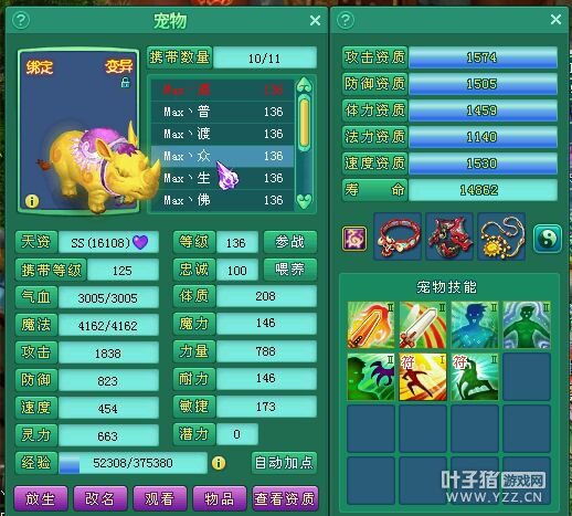 飞升131盘丝展示