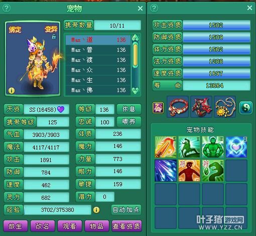 飞升131盘丝展示